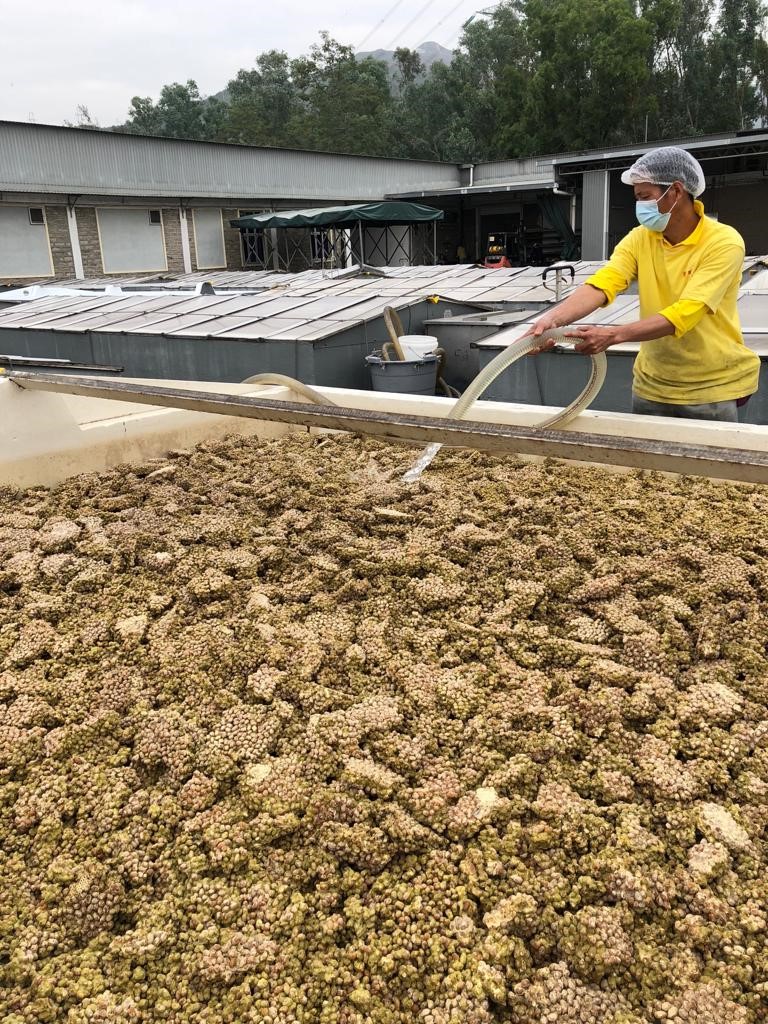 Visit to Koon Chun Hing Kee Soy Sauce Factory on 14-Dec-2018